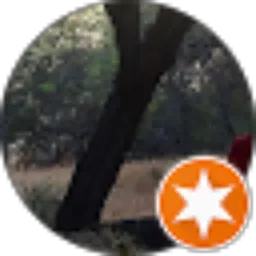 Review From anis miswoni