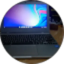 Review From Joko Sulistiyono