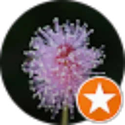 Review From ابو همّام