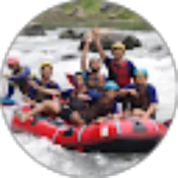 Review From reza pahlefi