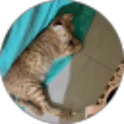 Review From Nurul fauziah Loi