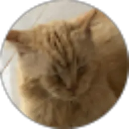 Review From Haris Novitri Subhannor