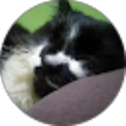 Review From cahya ramadhani