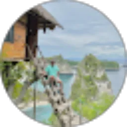 Review From Rogerio Madeira