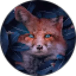 Review From Animals Word