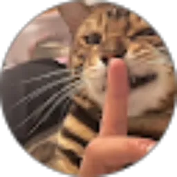 Review From Libria Septy Ayu