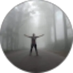 Review From Aris Sandi