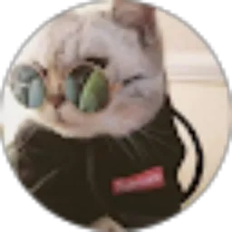 Review From Davan Alayubi