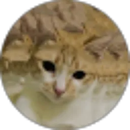 Review From Rachmat Rianto