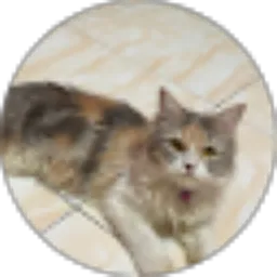 Review From ana kurniati