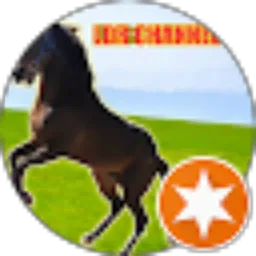 Review From LDR channel