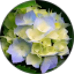 Review From lusiana hsd silalahi