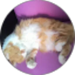 Review From Gading Anugrah