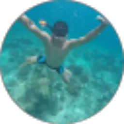 Review From roni parade