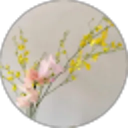 Review From nika diana