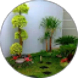 Review From Lita Valerie