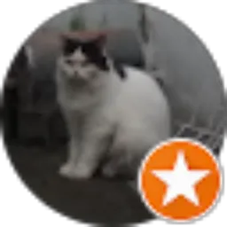 Review From Suprayogi Darmawan