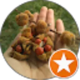 Review From Adetya Dio Pratama