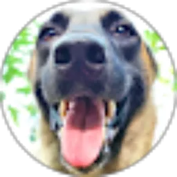 Review From Anjing Pedia