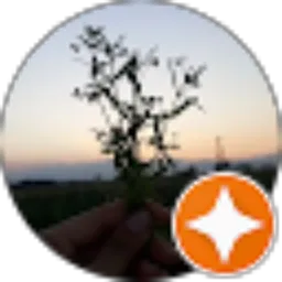 Review From Kenzie Javas