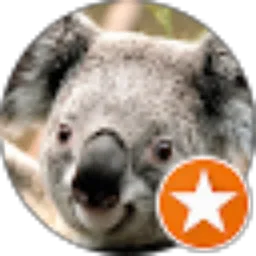 Review From Evelin Yuniawati