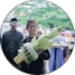 Review From Julian Hanavi