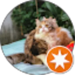 Review From Nana Michiko