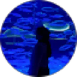 Review From Alivia Natasya Putri