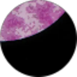 Review From Little Ribbon