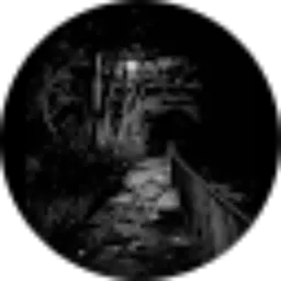 Review From Akhtariq laksamana