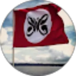 Review From Aries Scooter