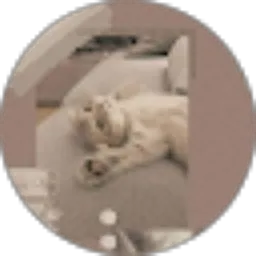 Review From musthalib channel