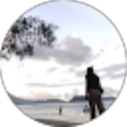 Review From FANNY DESY