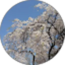 Review From herlina herlina