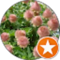 Review From A NaomiP