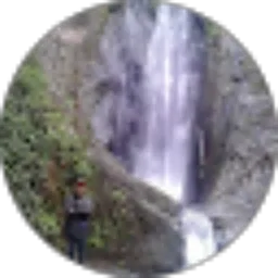 Review From ANGGA LOYO