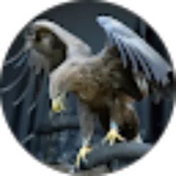 Review From mamel loves