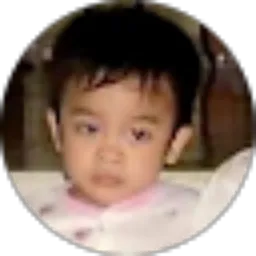 Review From Nathan Setia