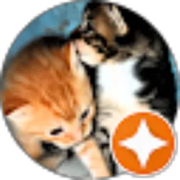 Review From sifa fauziah