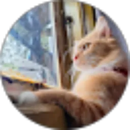 Review From Fahrial Ramadhoni