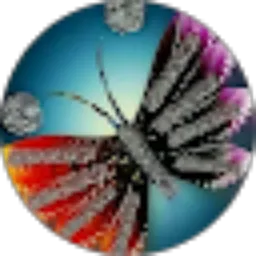 Review From karel asri