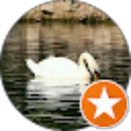 Review From IKKAJAYA80 tea