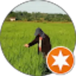 Review From Alfaya Kurniawan