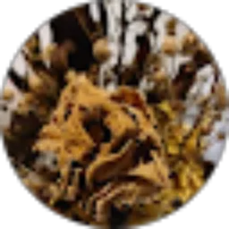 Review From Nirina Zia Shabara Murya