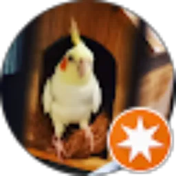 Review From ririn watana