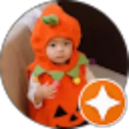 Review From Mahmud Awaludin