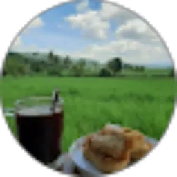 Review From Alan Akbar