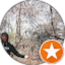 Review From Airul Anwar