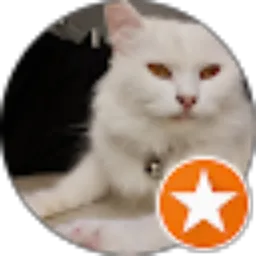 Review From SeNjA RESTORASI