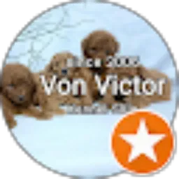Review From Von Victor kennel breder minipomerian & poodle
